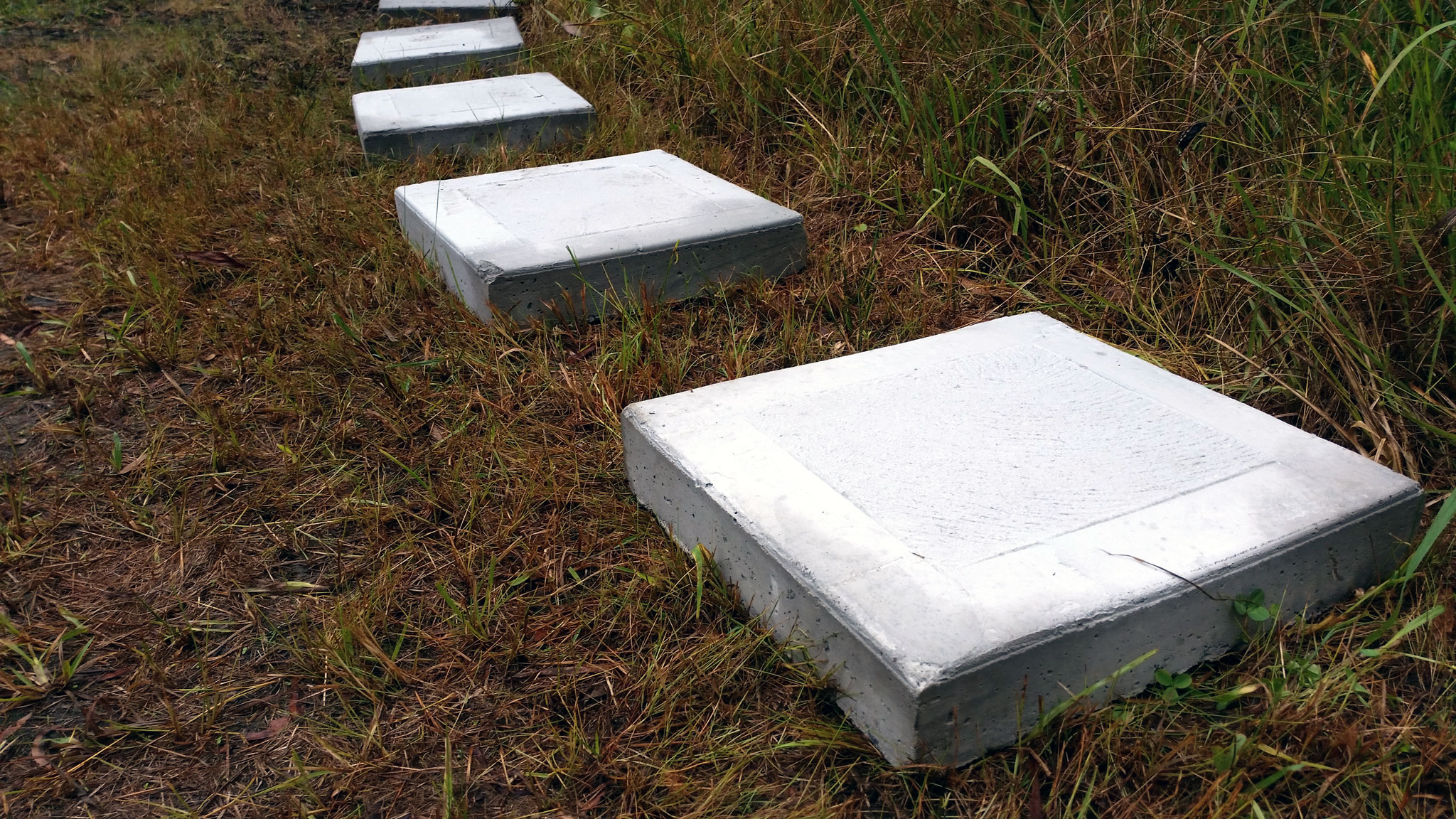 Photo showing concrete stepping stones made by the shed