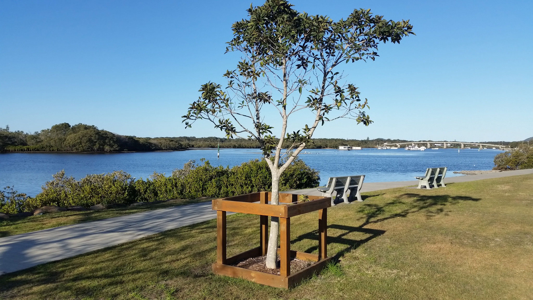 Photo showing one of the tree guards built by the shed along the Myall River